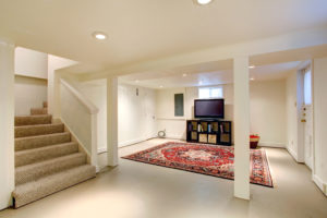 unfinished basement with area rug